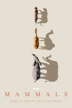 Млекопитающие / Mammals (сериал 2024)