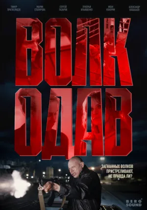 Волкодав / Волкодав (сериал 2025)