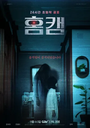 Домашняя камера / Homkaem (2025)