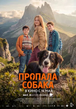Пропала собака / Io non ti lascio solo (2025)