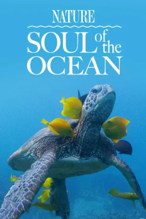 Душа океана / Soul of the Ocean (2022)