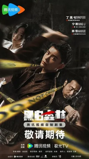 Чёрно-белый лес / Hei bai sen lin (сериал 2024)